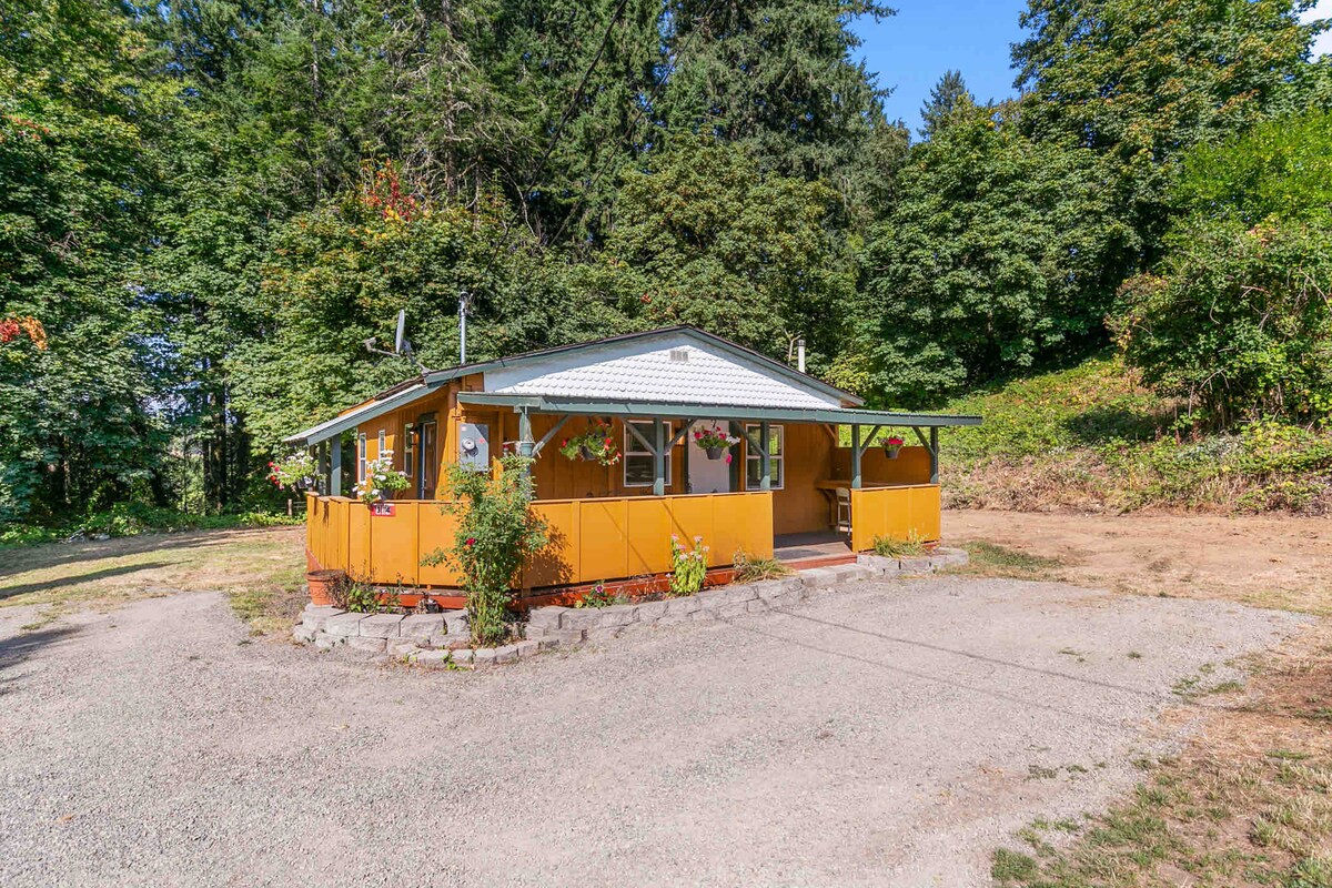 A charming yellow cabin with a welcoming porch is surrounded by lush greenery. The gravel driveway leads to the entrance, complemented by hanging flower pots. The structure showcases a rustic design that blends into its natural setting.