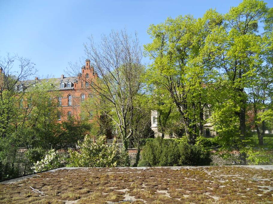 alles grün, der ausblick von der wohnung -
green view from the windows of the flat