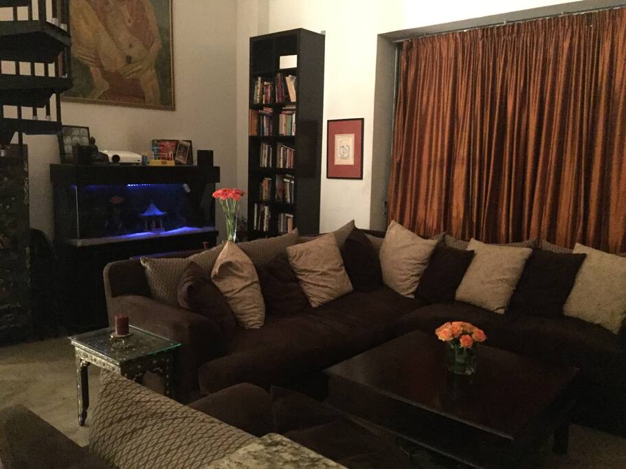 View of living room featuring 120 gallon fish tank