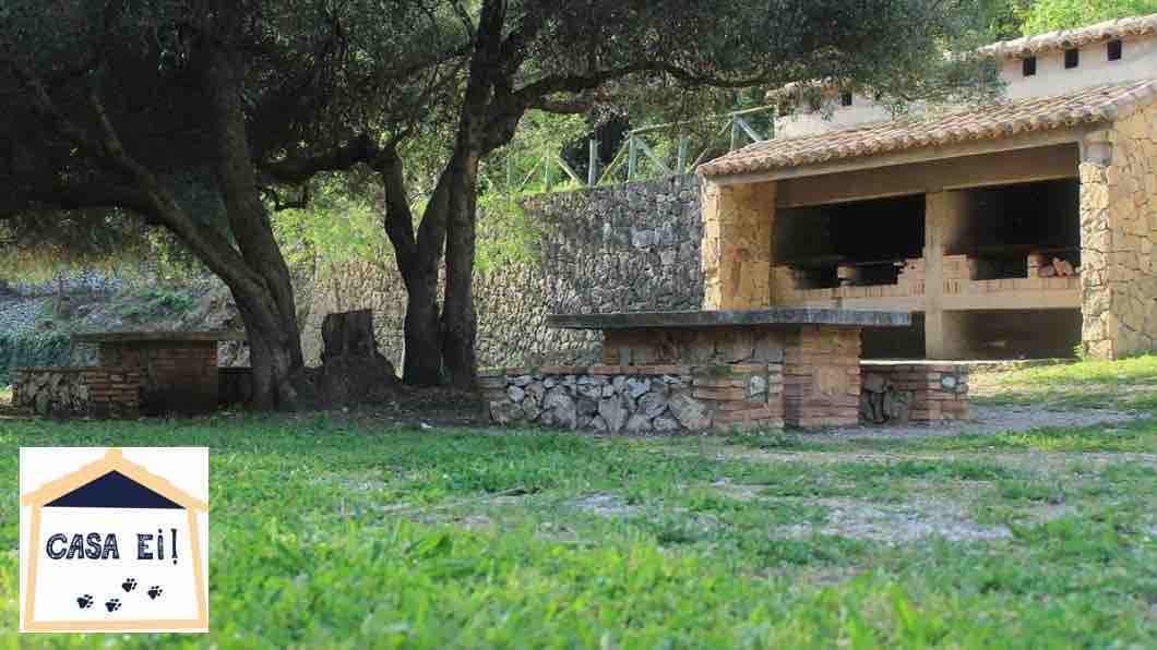 A shaded outdoor area features stone tables nestled under olive trees, surrounded by lush green grass. An open barbeque space is visible in the background, built with natural stone, providing a serene environment for gatherings.