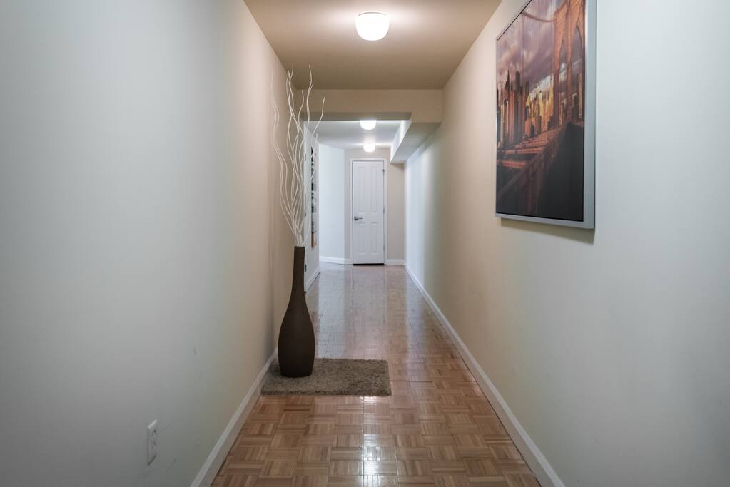 Entrance into the apartment