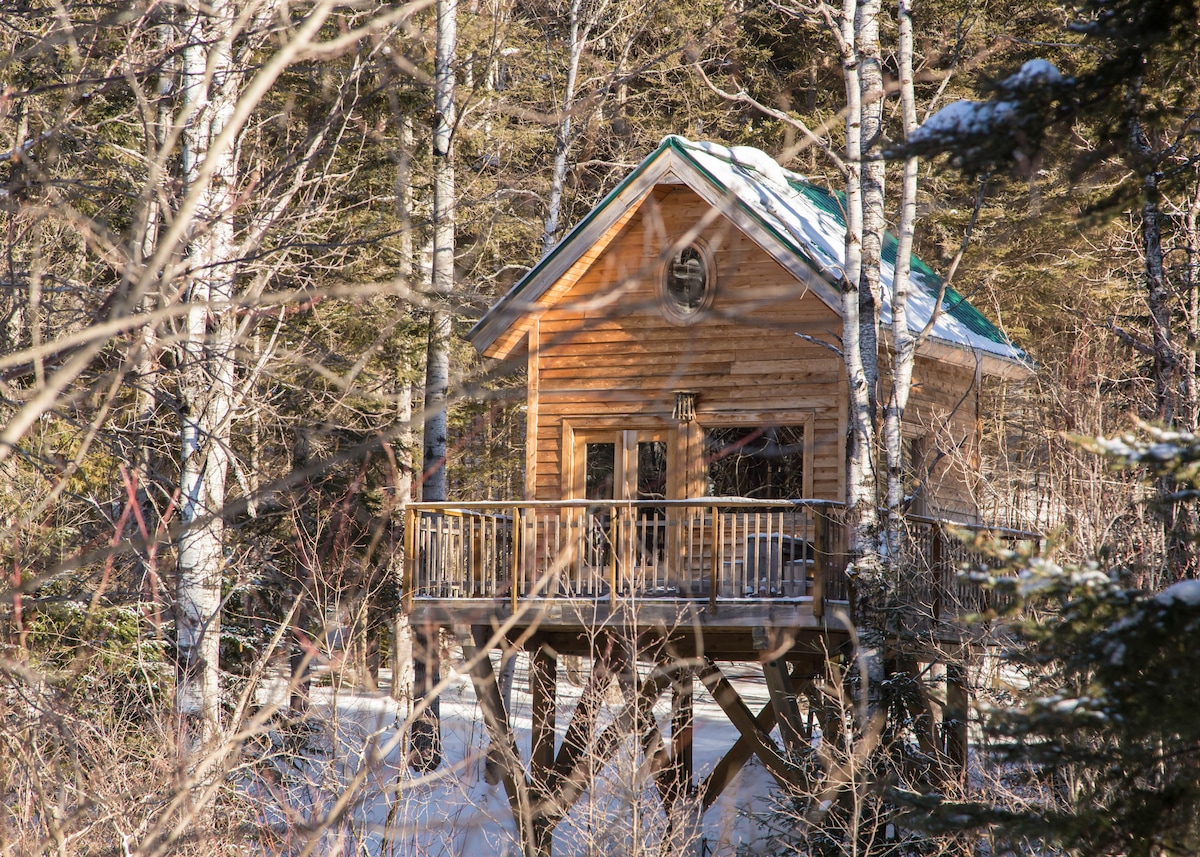 A wooden cabin is perched on stilts, surrounded by snow-dusted trees. Large windows invite natural light, and a small balcony offers outdoor space for relaxation. A sloping roof provides a rustic charm, blending harmoniously with the serene winter landscape.
