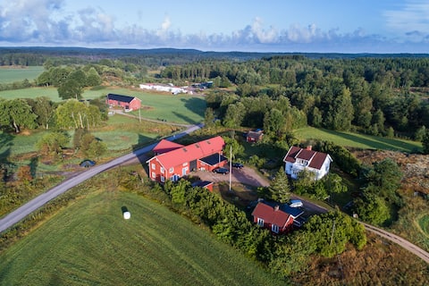 Lilla Rörans luxury cabin with sauna