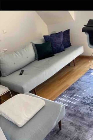 Guest favorite listing in Freiburg Im Breisgau