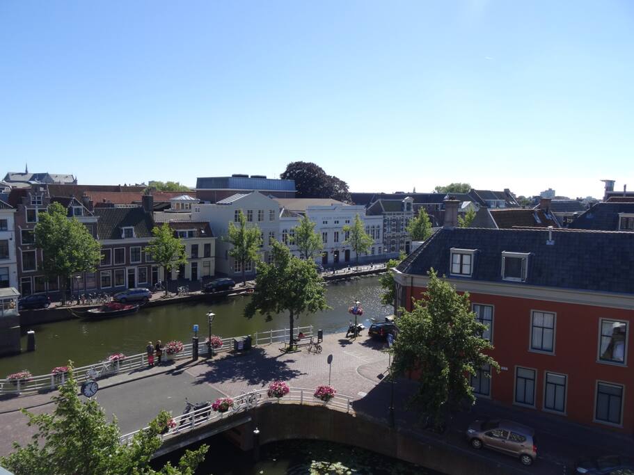 View from the rooftop terrace