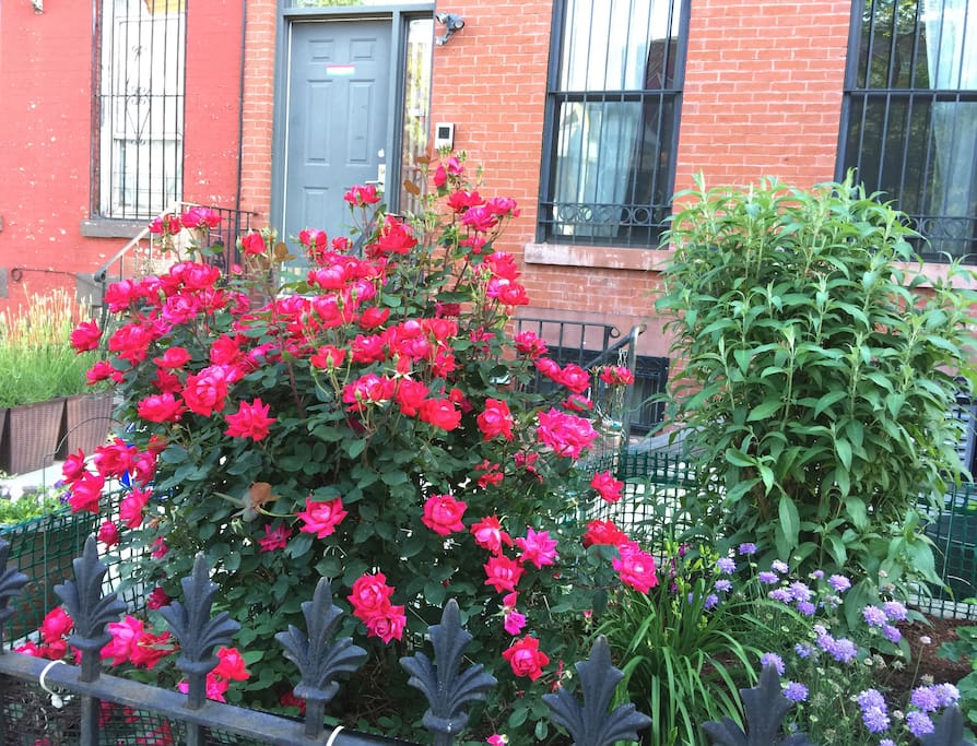 Front Garden entrance to private apartment.