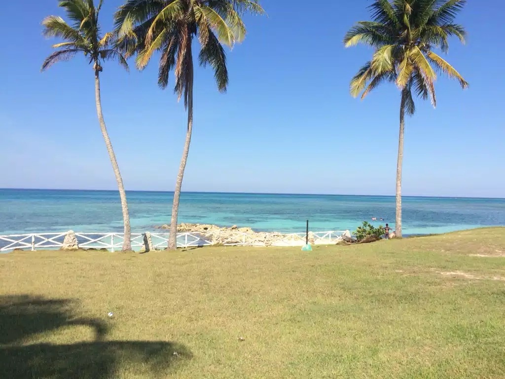 A serene beachfront view features gentle waves lapping against a rocky shore. Tall palm trees frame the scene, with lush green grass extending toward the water's edge. The clear blue sky complements the vibrant colors of the ocean and landscape.