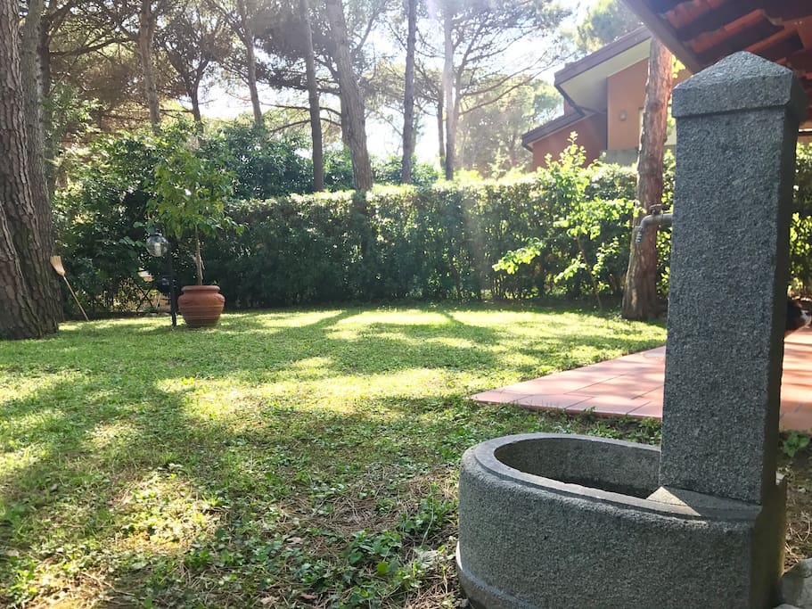 Giardino
