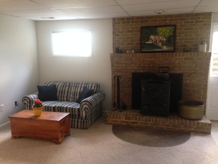Living area with stove insert