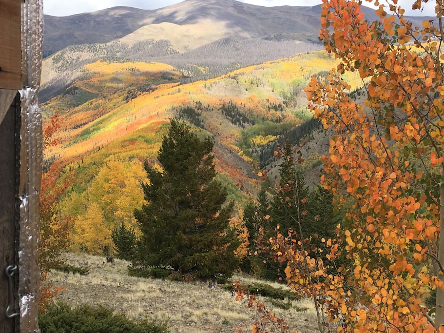 2018 fall colors viewed through yurt door (by Tommy Speake)