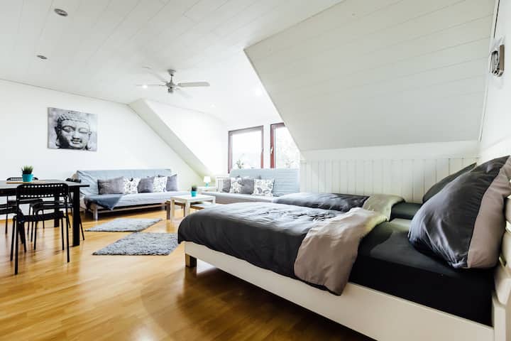 Quiet & Spacious Apartment / 3 Bedrooms For 10 P. - Dormagen