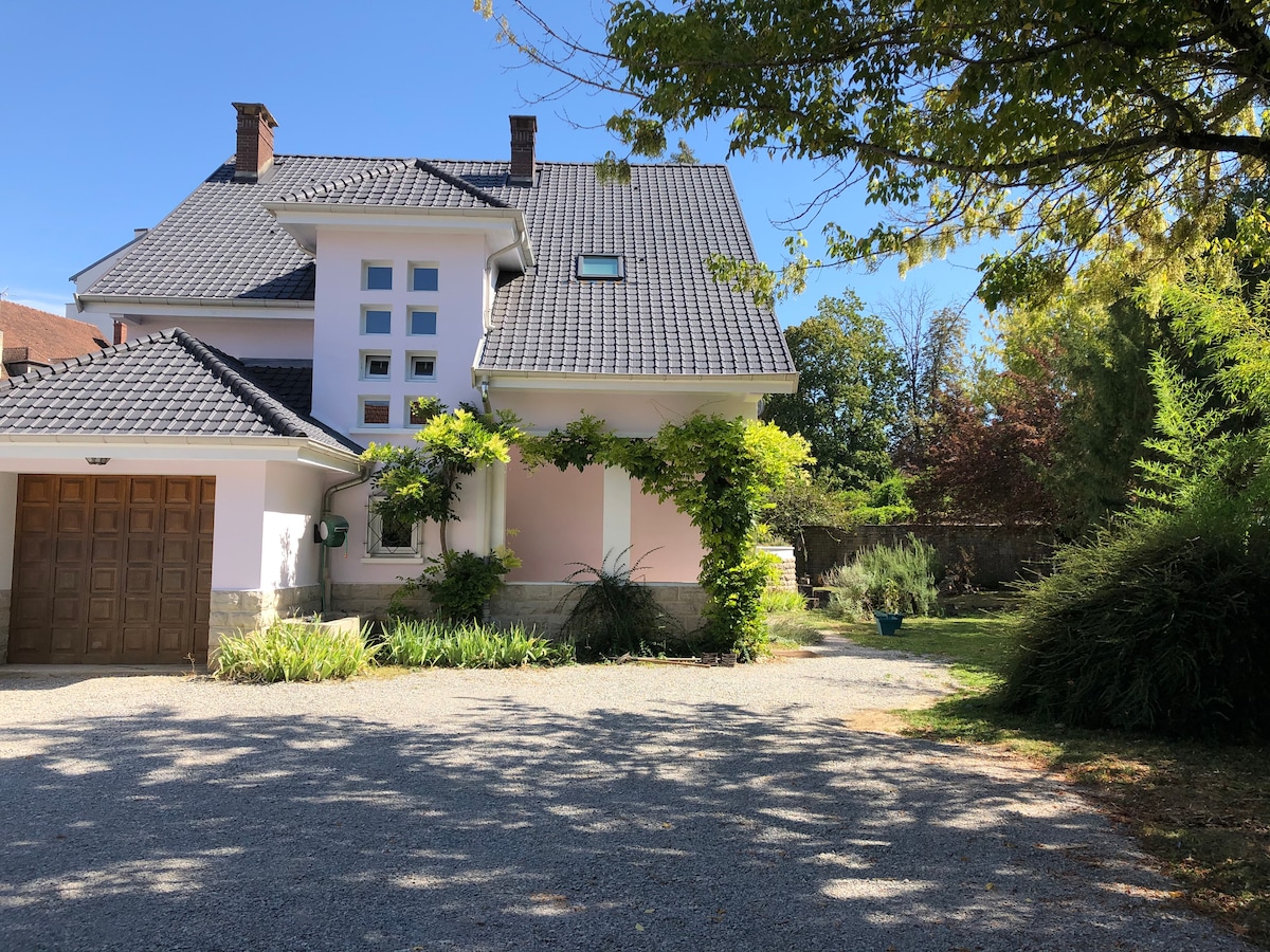An elegant two-story house is framed by a gravel driveway and landscaped greenery. A mix of light and shade from surrounding trees casts a natural ambiance, while a charming garage door adds to the property’s character. Sunlight brightens the façade, highlighting the architectural details.