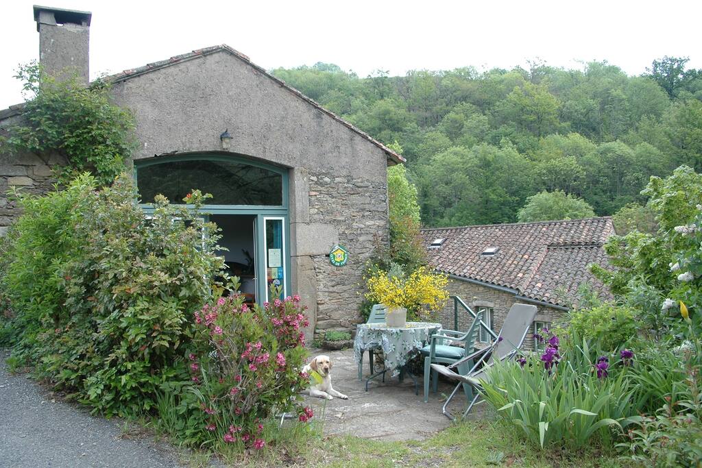 la terrasse ensoleillée