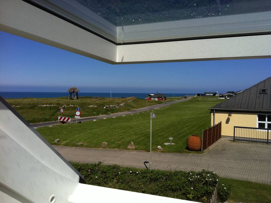 A view from the living room.