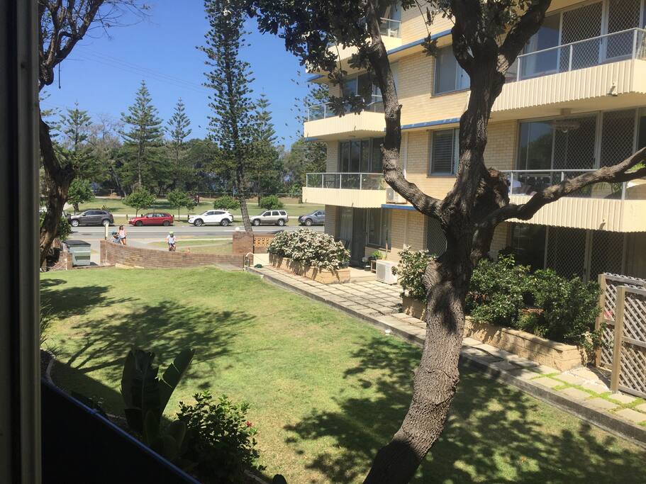 Glorious early afternoon outlook from living room across neighbouring lawn, then quiet one way road, then park with glimpses of the ocean through the trees.