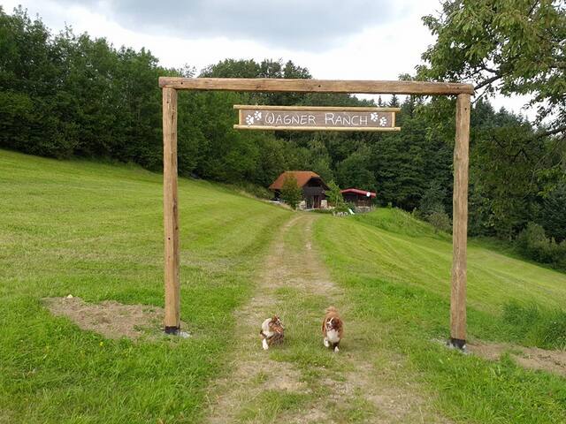 Airbnb Burgenland Vacation Rentals Places To Stay