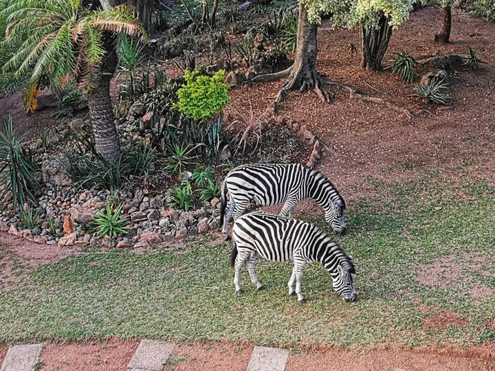 Your Homestay In The Hills Of Mbombela Farm Stays For Rent In your-homestay-in-the-hills-of-mbombela-farm-stays-for-rent-in