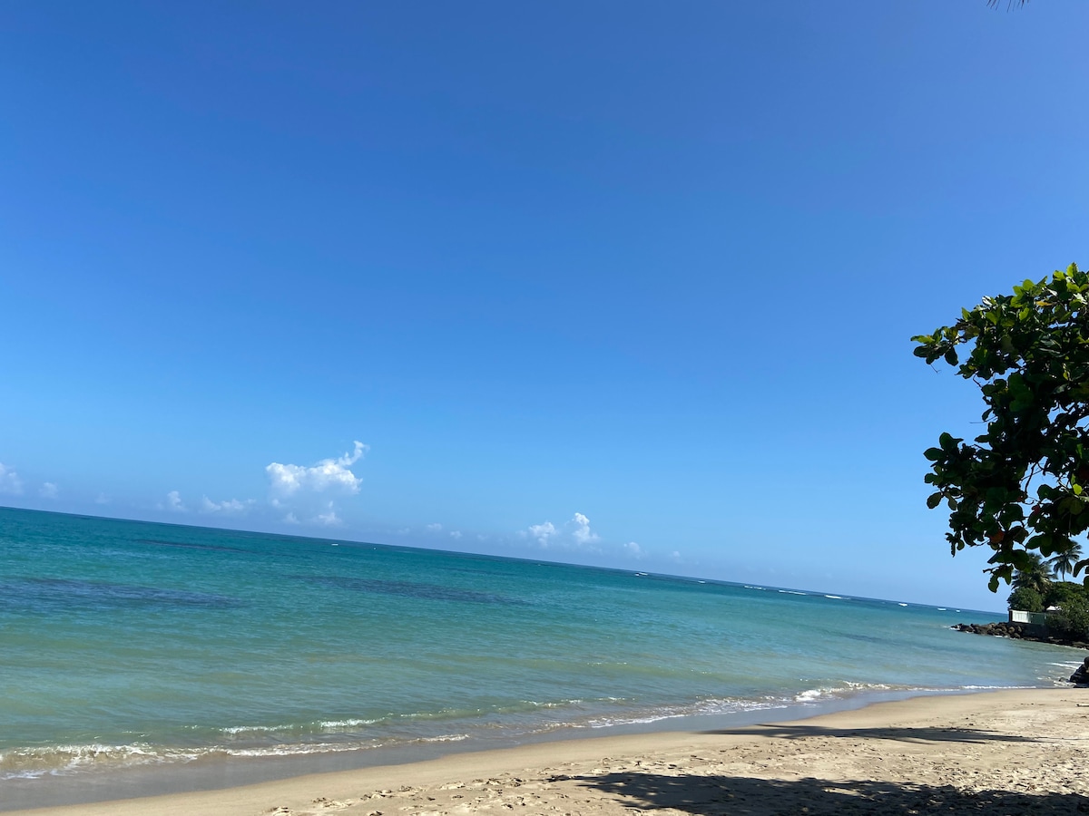 A sandy beach is displayed, with clear turquoise water gently lapping at the shore. A vibrant blue sky stretches overhead, dotted with a few fluffy clouds. Lush greenery is visible to the right, framing the scene and creating a serene coastal environment.