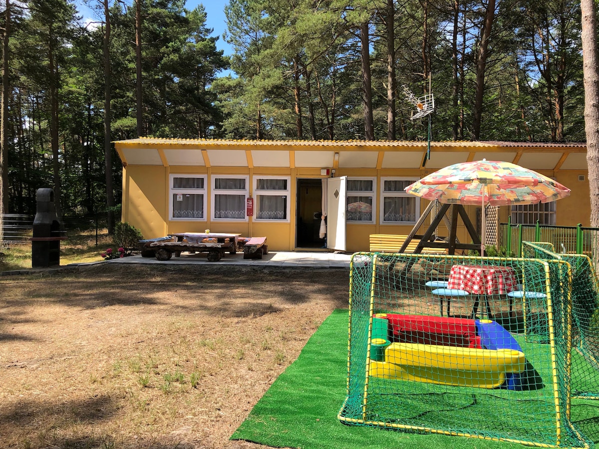 A yellow wooden cabin is set amidst tall trees, featuring a spacious patio with several picnic tables and a colorful umbrella. A children's play area with a swing and small toys is visible, along with a grill nearby on an open grassy area.
