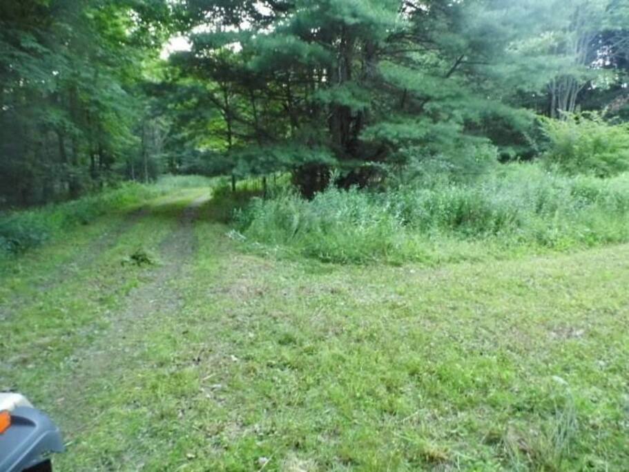 On private gate road, tent site to right with a loop around "island" of plants ahead to gate road again.