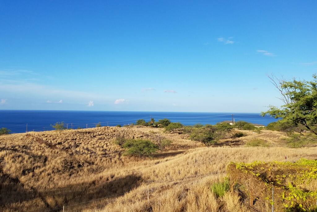 View from the ohana lanai