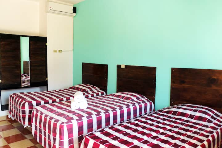 「三人间。::Hotel San Pedro::.」图片 1