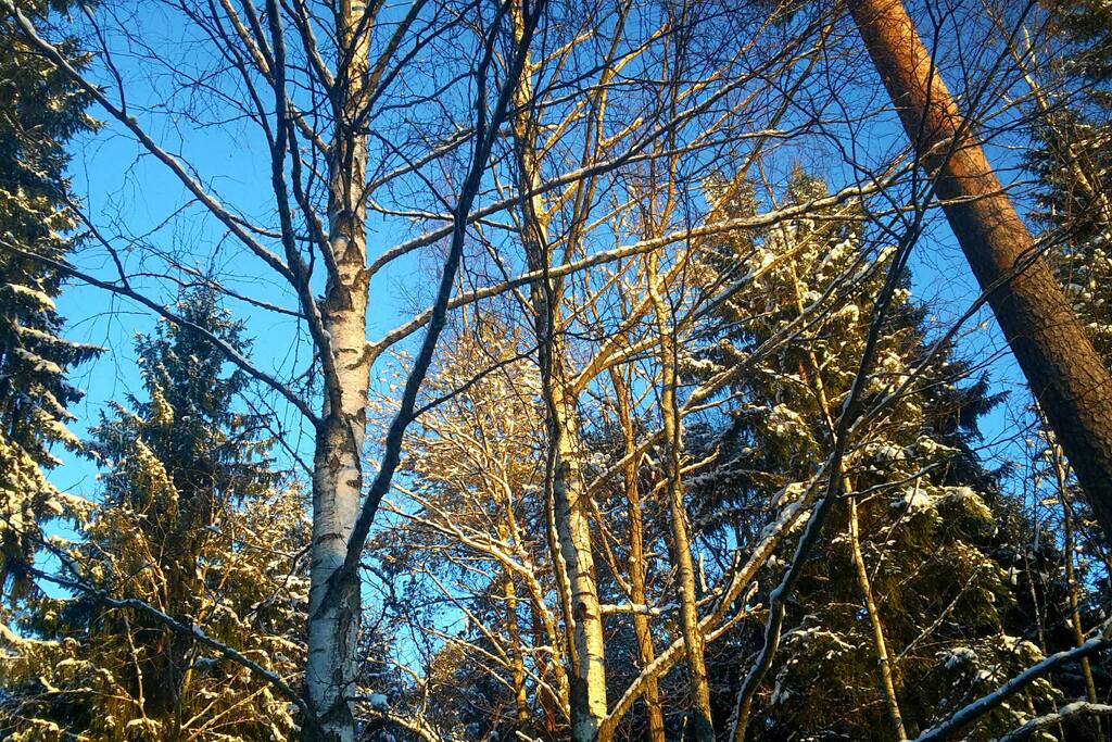 The view from the window.