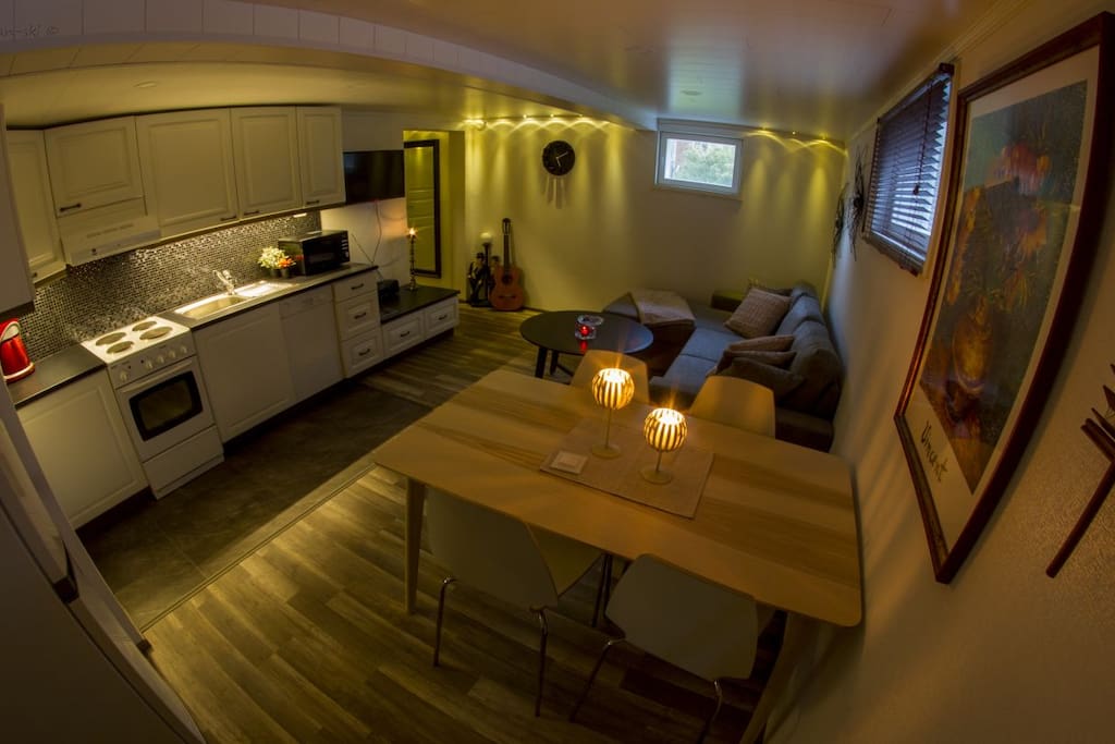 Kitchen and livingroom