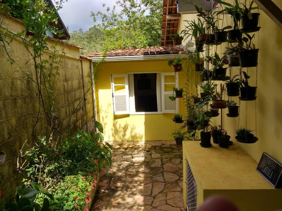 Muro verde ao amanhecer