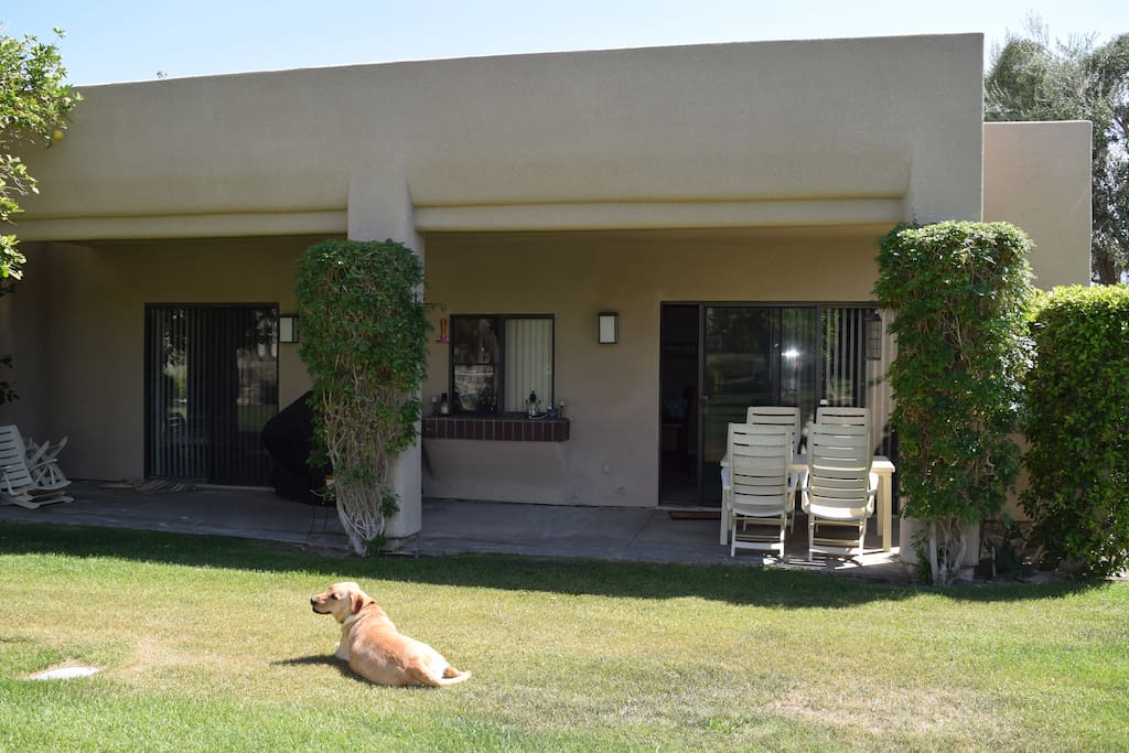 back patio