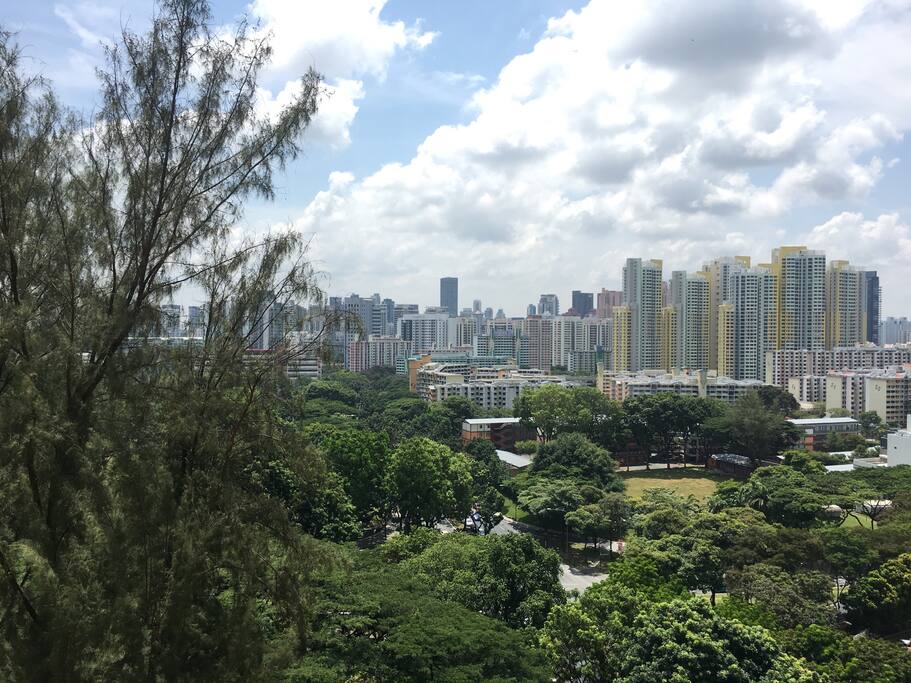 This is the view from the room