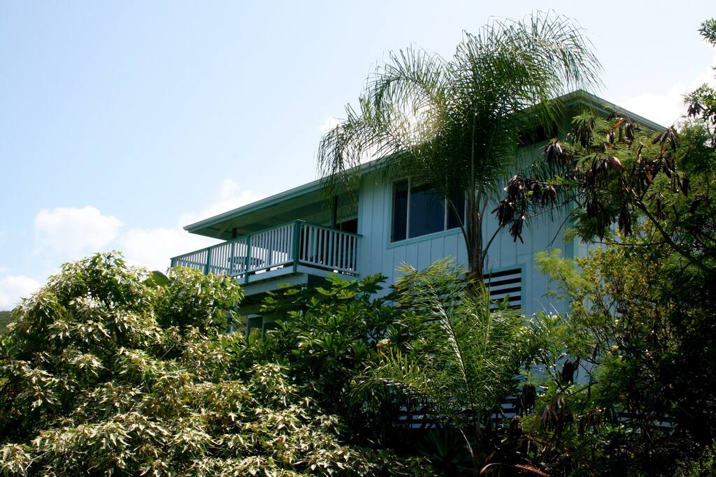 Lanai rises high above garden and park below.