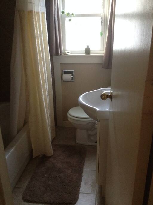 the bathroom
