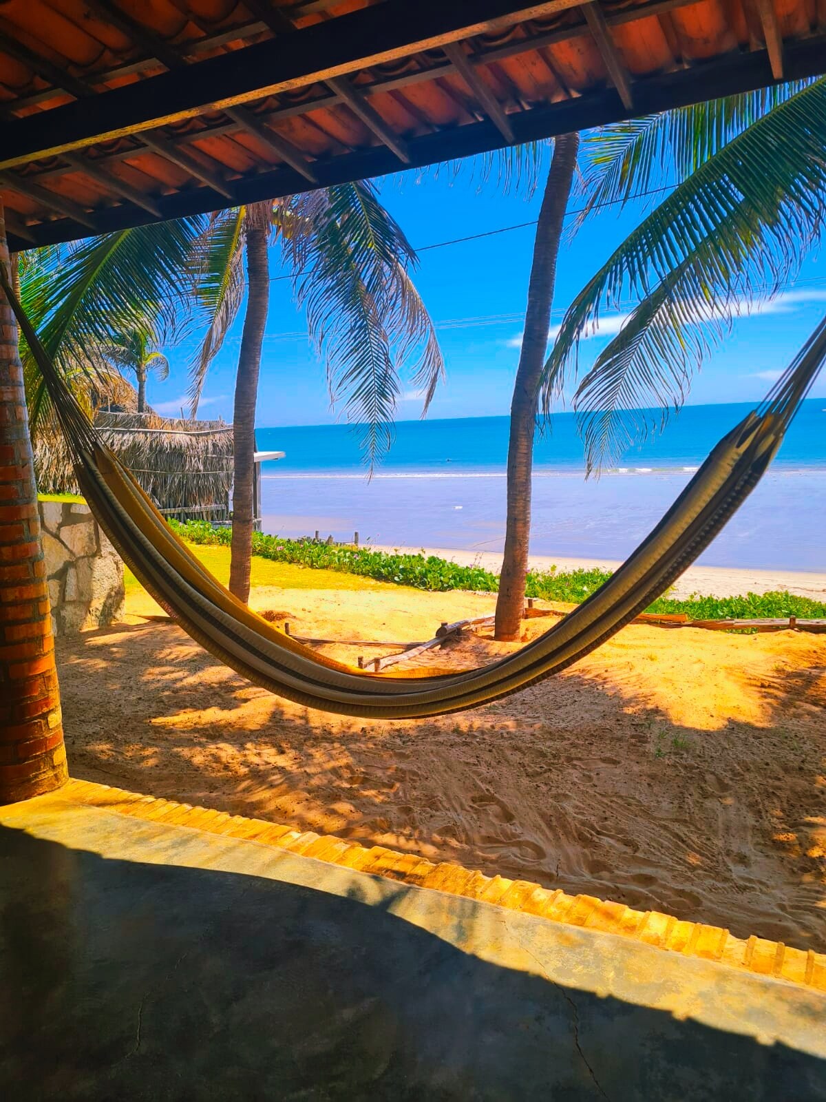 A hammock is suspended between palm trees, offering a view of the beach and calm ocean. The sandy shore is visible alongside lush greenery, with blue skies and gentle waves enhancing the coastal atmosphere.