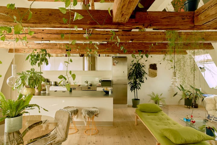 Beautiful lofty penthouse in the city centre.