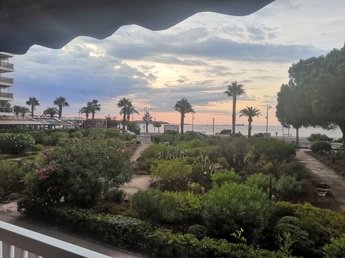 A serene view reveals a garden filled with various plants and palm trees, leading to a waterfront. The sky displays soft colors as the sun sets, while pathways meander through the greenery, providing a tranquil atmosphere.