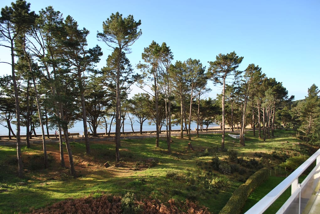 La vue de la terrasse