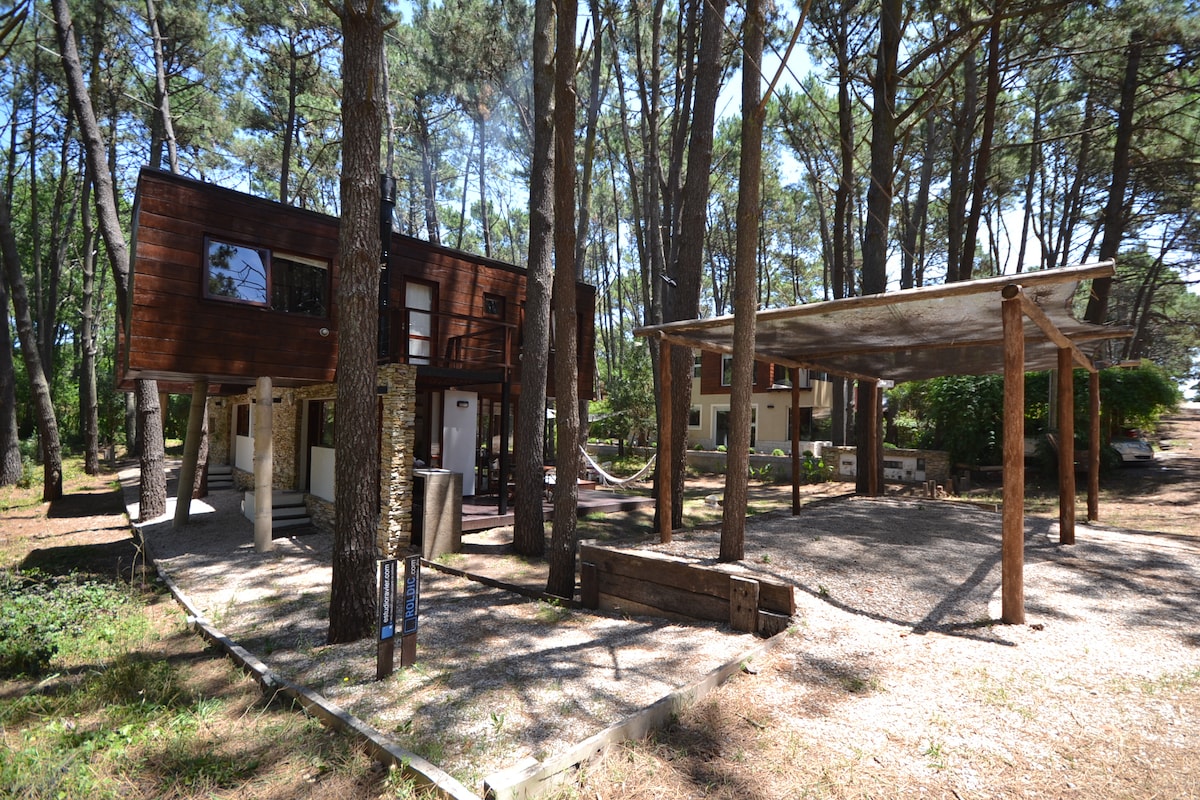 The image showcases a two-story wooden cabin nestled among tall trees, surrounded by natural greenery. A shaded outdoor area with a pergola provides space for relaxation, while clear pathways lead to the cabin's entrance, enhancing accessibility to the tranquil setting.