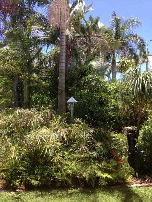 Beautiful Tropical Front Garden
& Lawn.