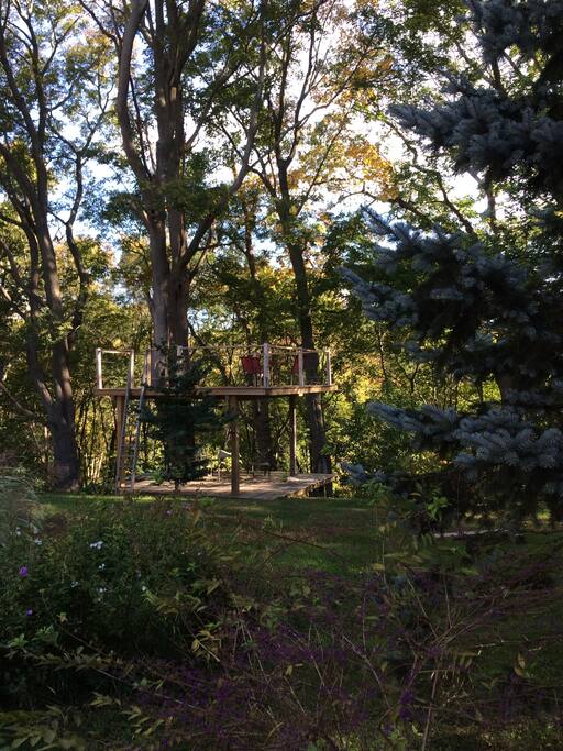 Backyard Tree house