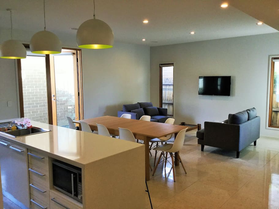 Downstairs Kitchen/Living/Dining