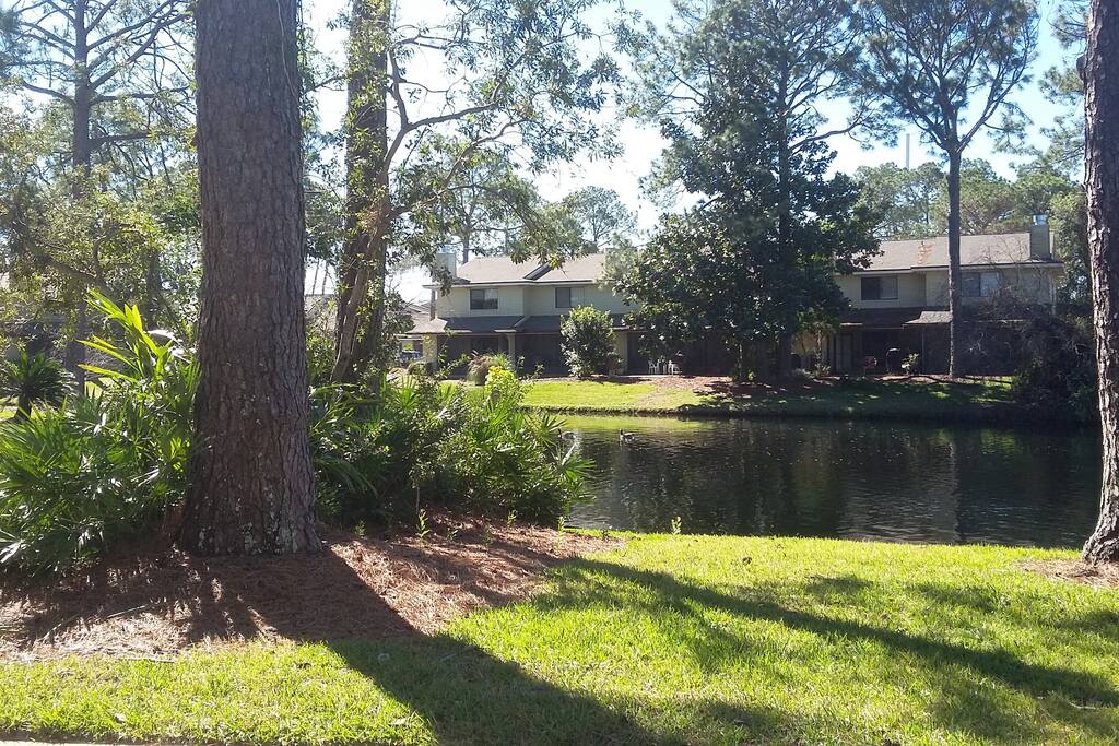 Lake outside