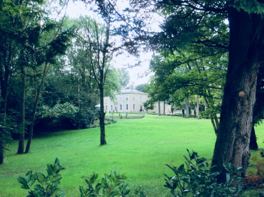 The front garden