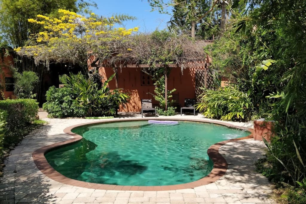 Oasis Pool