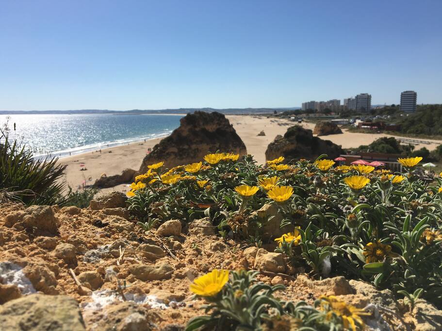 Alvor beach in May