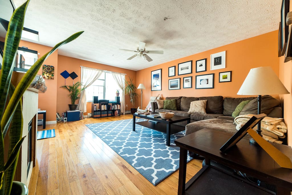 Common room with Netflix, electric fireplace, record player, and DVD's available.
