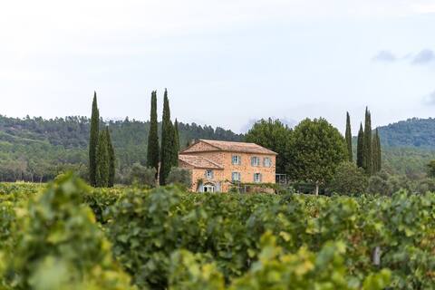 Provençal charm: villa, pool, vineyards