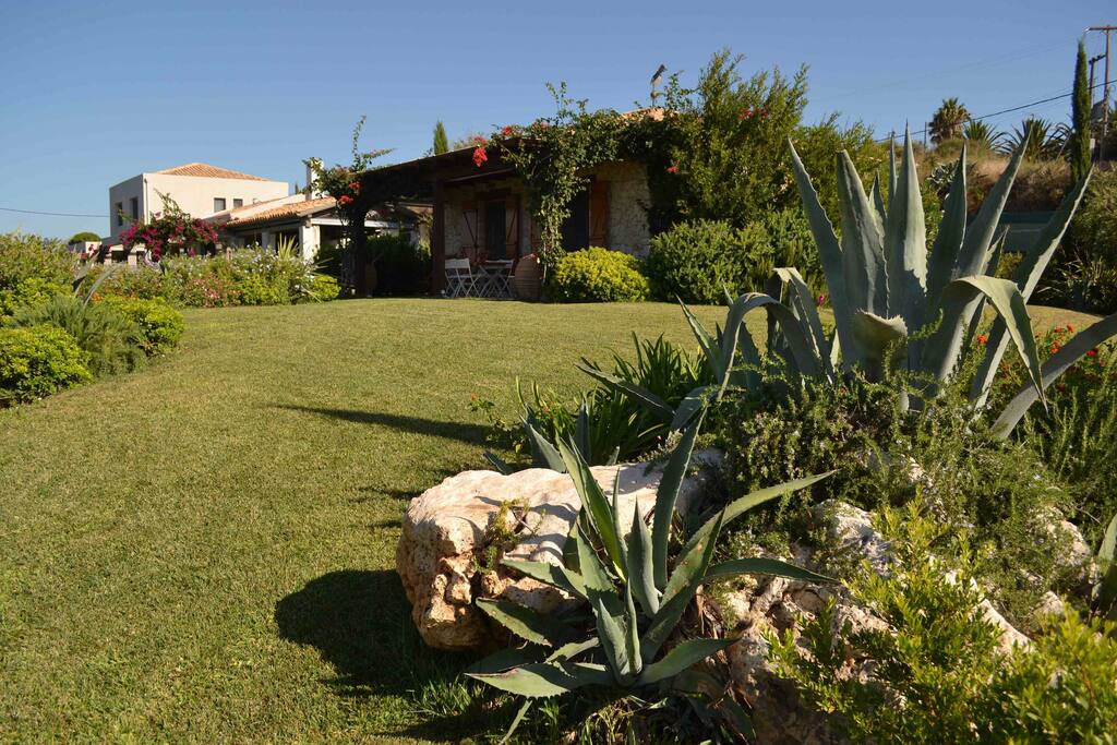 The Garden
