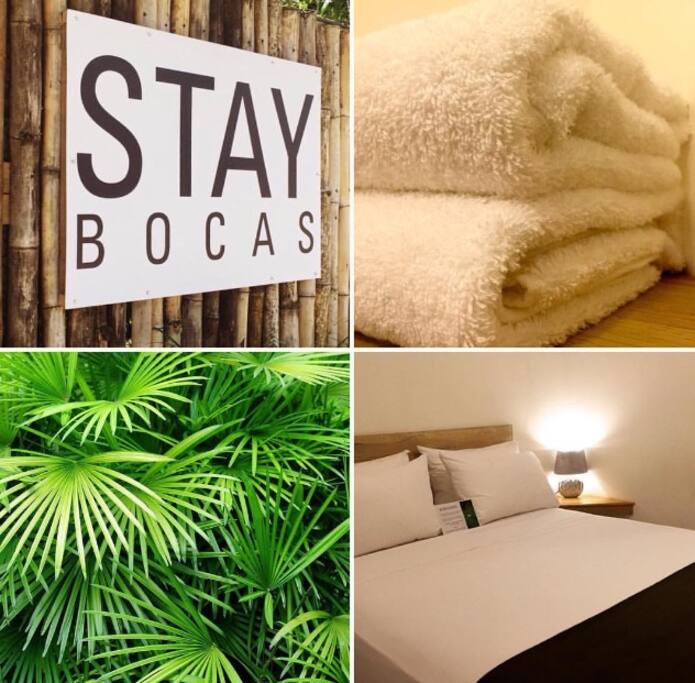 Fresh B&B Free AC WIFI & Rental Bikes Bocas Town