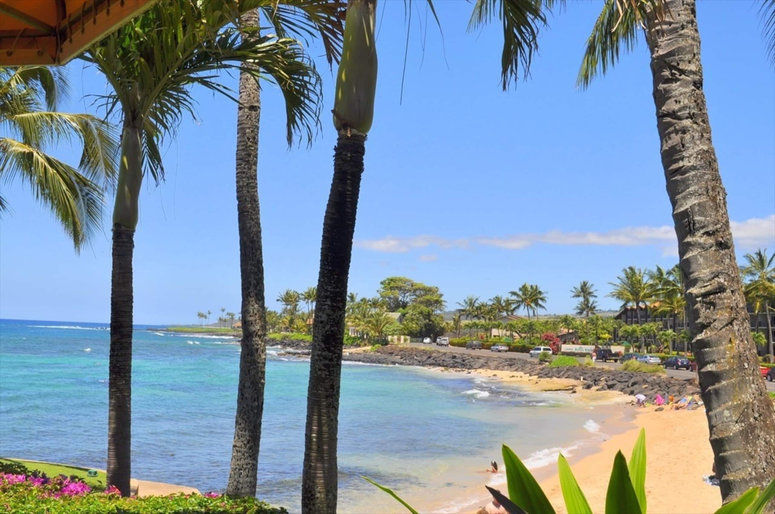 Ocean Front, Kuhio Shores, 30 ft to the water A/C - Photo 23